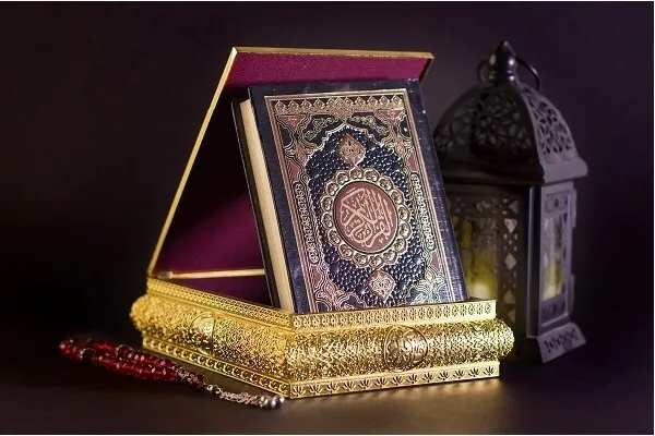 Alquran, Kitab Pendidikan