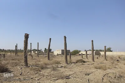 تالابی بدون آب