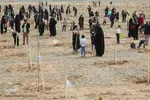 پویش سراسری درختکاری - مشهد

