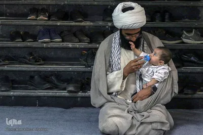 بزرگداشت «نادر طالب‌زاده» در شیراز