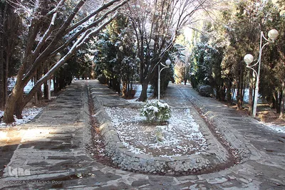 آغاز زمستان در خراسان‌جنوبی