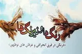 ارسال بیش از 80 اثر به نخستین جشنواره «رنگ‌ها و نیرنگ‌ها» در سمنان