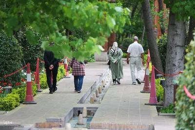 خودنمایی لاله های رنگی در دل معماری سنتی