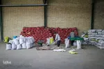 صادرات سیر؛ محصول پرخاصیت و معروف همدان