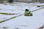 بارش برف در اهر