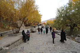 برگریزان پاییزی در همدان