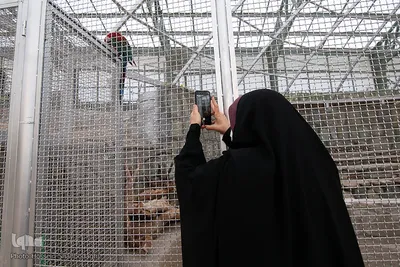افتتاح باغ پرندگان قم در دره آباد ۱۲هکتاری