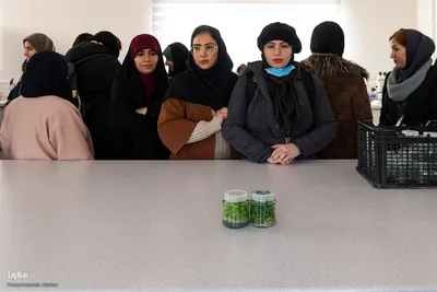 بازدید دانشجویان دانشگاه تهران از مؤسسات تحقیقات کشاورزی کرج‎