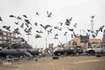 چهارراه کبوترها‎‎