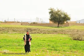 پیوند انسان و طبیعت در اندیکا