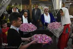 جشنواره گل و گلاب محمدی - سمنان‎‎