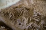 مراغه بهشت پستانداران ماقبل تاریخ‎‎