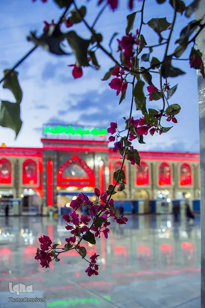 حرم امام حسین(ع)