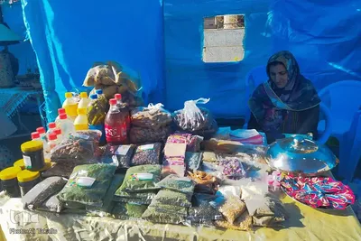 دومین جشنواره گردو و بادام علی آباد دمق شهرستان ملایر‎