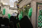 گل آرایی و گل باران مضجع شریف حضرت شاهچراغ(ع)‎‎