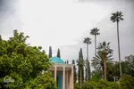 یاد روز سعدی
