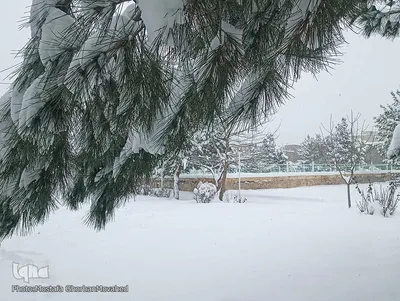 تشدید بارش برف در شهرستان اهر