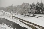 بارش نخستین برف زمستانی در ارومیه‎‎