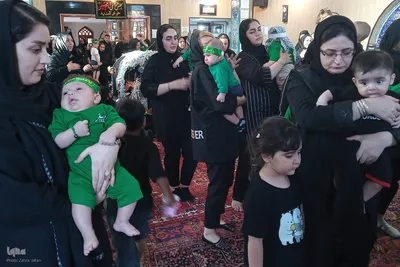 مراسم شیرخوارگان حسینی در اهر