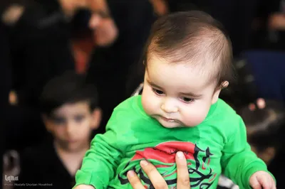 همایش شیرخوارگان حسینی در اهر