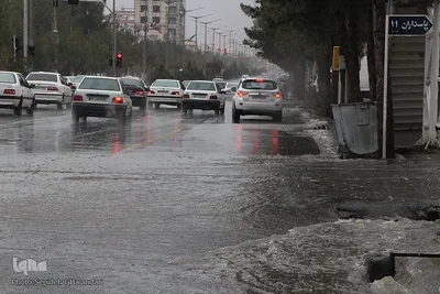 بارش باران در بیرجند