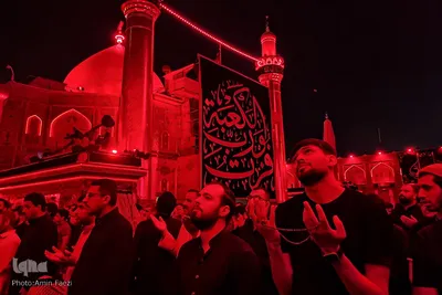 احیا در حرم امام علی‎‎