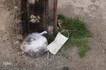 رهاسازی ماسک‌ها و دستکش‌ها در معابر شهر اهر