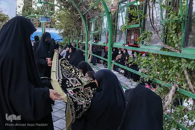ویژه برنامه «سِرّ سَر» در گلزار شهدای شیراز‎‎