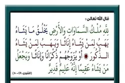 Tartil Juz Ke-25 Alquran oleh Qhasem Raziei, Qori Internasional