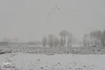 اصفهان در آغوش زمستان