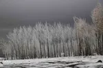 بارش برف پاییزی در ارتفاعات و مناطق روستایی اهر
