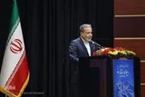 استان‌ها بازوان مؤثر سیاست خارجی در مناطق همجوار هستند