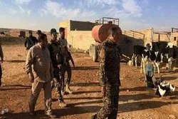عراق؛ مغربی علاقوں میں حشدالشعبی کا آپریشن
