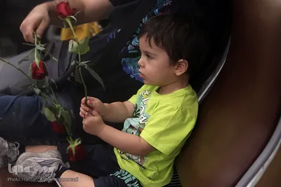 بدرقه‌ای با شاخه گل غدیر
