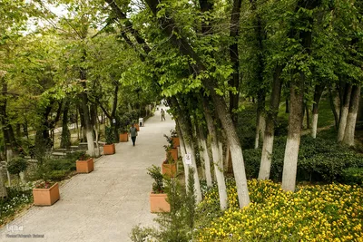 طبیعت بهاری تهران