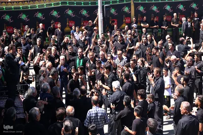 مراسم نخل‌برداری به مناسبت شهادت امام رضا(ع) در یزد‎