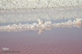 روز قم