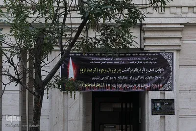 مصاحبه با همسر عماد افروغ