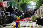 حال و هوای گلستان شهدای اصفهان در شب‌های حماسه و حضور