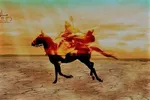 آیا تشنگی امام حسین(ع) و یارانش مسلم تاریخی است