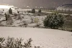 رخت سفیدبرتن ملایر‎