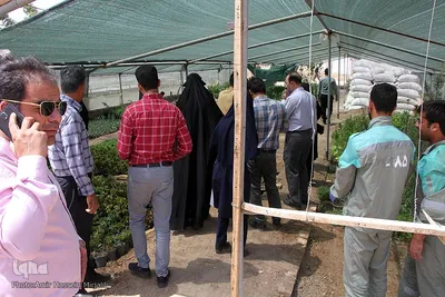 بازدید جمعی از اصحاب رسانه از طرح های در دست اقدام سازمان سیما ، منظر و فضای سبز شهرداری یزد