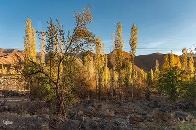 پاییز زیبای طالقان