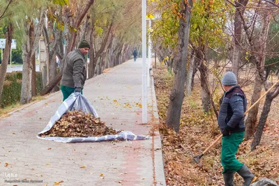 آخرین روز‌های پاییز در دانشگاه اصفهان