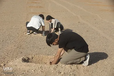 غرس نهال در روز طبیعت