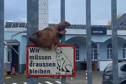 Dortmund: Vier Moscheen innerhalb eines Jahres das Ziel von rassistischen Angriffen