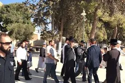 115 colons sionistes envahissent la mosquée al-Aqsa