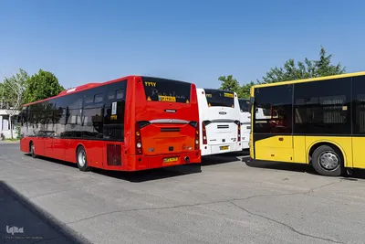 آماده‌باش ناوگان حمل‌ونقل البرز برای خدمت‌رسانی در مراسم تشییع رهبر شهید