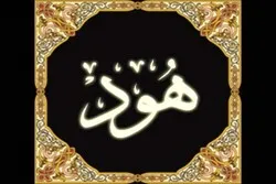 Surah Hud; Sebuah Surah yang Membuat Nabi Beruban (Tua)