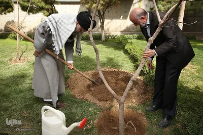 کاشت نهال توسط مقام معظم رهبری در هفته منابع طبیعی
